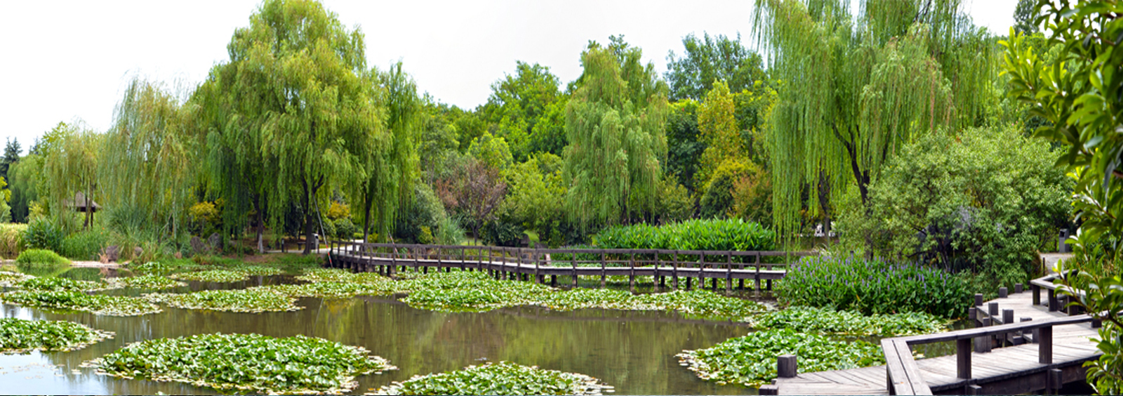 url(http://www.htvm.com.cn/theme/TP000163/pic/banner4.jpg)